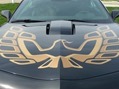 2012-Camaro-Pontiac-TransAm-Bandit-9
