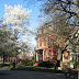 Corn Hill  Neighborhood Scenes
