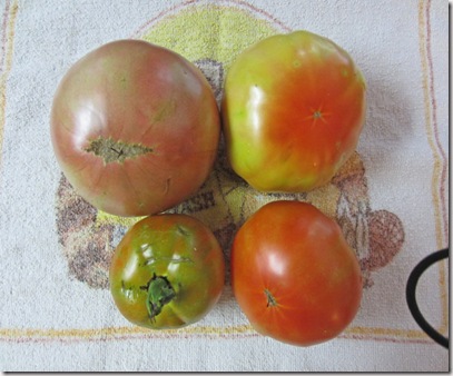 Heirloom tomatoes