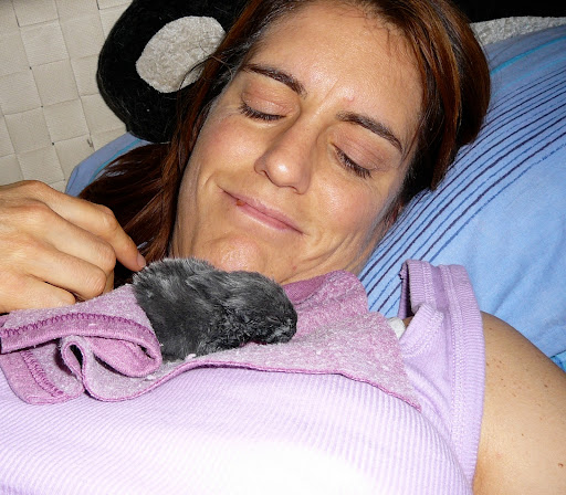 Biology is the least of what makes someone a mother. --Oprah Winfrey (In photo: Gina nurtures a baby bunny.) Biology is the least of what makes someone a mother. --Oprah Winfrey (In photo: Gina nurtures a baby bunny.)