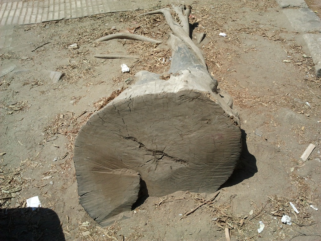 [2012-09-03%252011.40.25%255B3%255D.jpg]