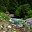 DSC_0266.jpg