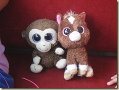 IMG_2239 IMG_2239