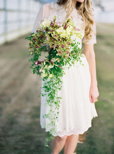 Cascading green cymbidum and pale green phalenopsis orchids look lovely mixed with ladyslipper blooms and trailing vines. Cascading green cymbidum and pale green phalenopsis orchids look lovely mixed with ladyslipper blooms and trailing vines.