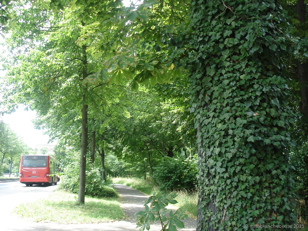 [DSC06860%255B8%255D.jpg]