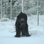 DSC_9226.JPG