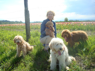 Melanie with Doodles<br />
on a Spring day walk
