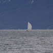 PICT0053.JPG