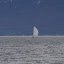 Saint-Nicolas 2009