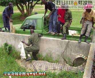 食人鱷魚 20村民