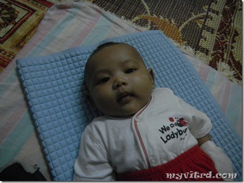 myvitrd junior 3
