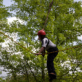 Downe Scout Camp - 3501658279.jpg