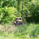 "Car in Grass" - copyright Bob Russell