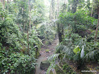 Ubud