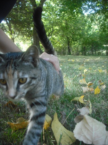 [DSCF202923.jpg]