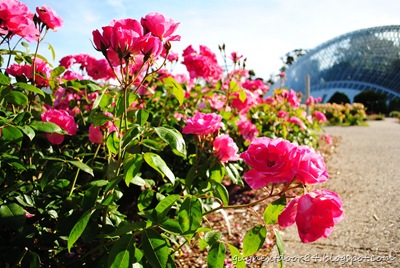 [DSC_0256%255B8%255D.jpg]