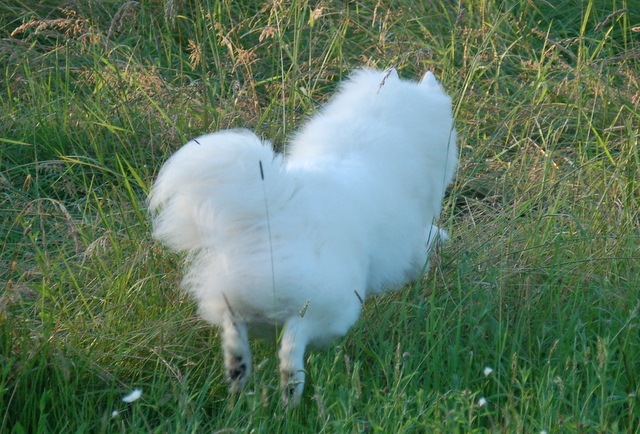 [DSC_6271%255B4%255D.jpg]