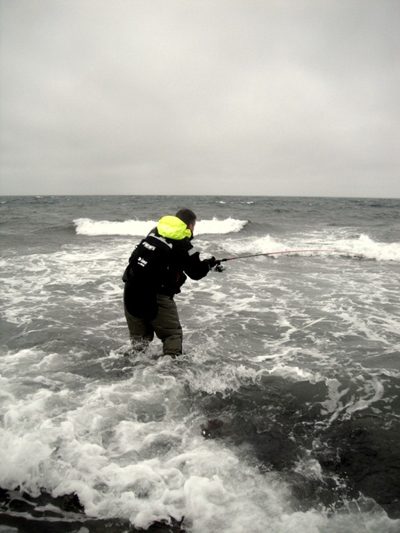 [DSCF3356%255B4%255D.jpg]