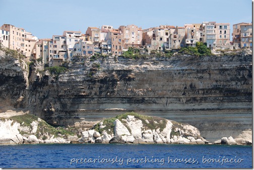 DSC_0983 DSC_0983