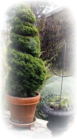 [Topiary8%255B7%255D.jpg]