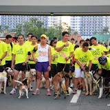 Pet Express Doggie Run 2012 Philippines. Jpg (21).JPG