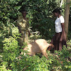 DSCF9660.JPG