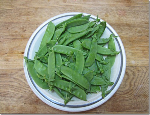 Oregon SUgar Pod II snow peas