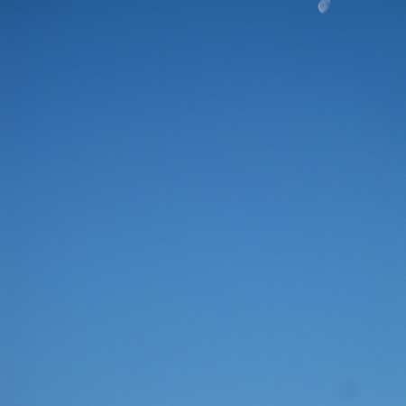 IMG_1542.JPG