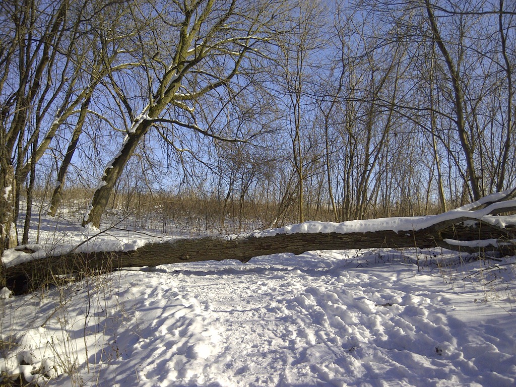 [IMG-20130101-00639%255B4%255D.jpg]