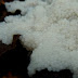 P1140024