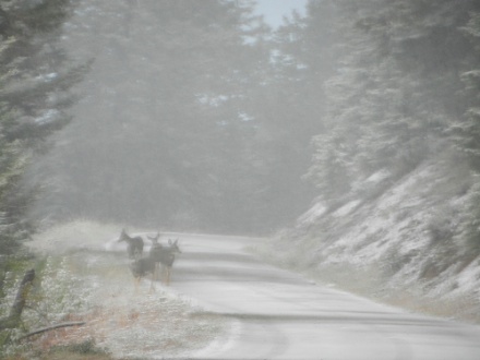 DSCN9727.jpg DSCN9727