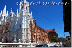 DSC_0546 DSC_0546