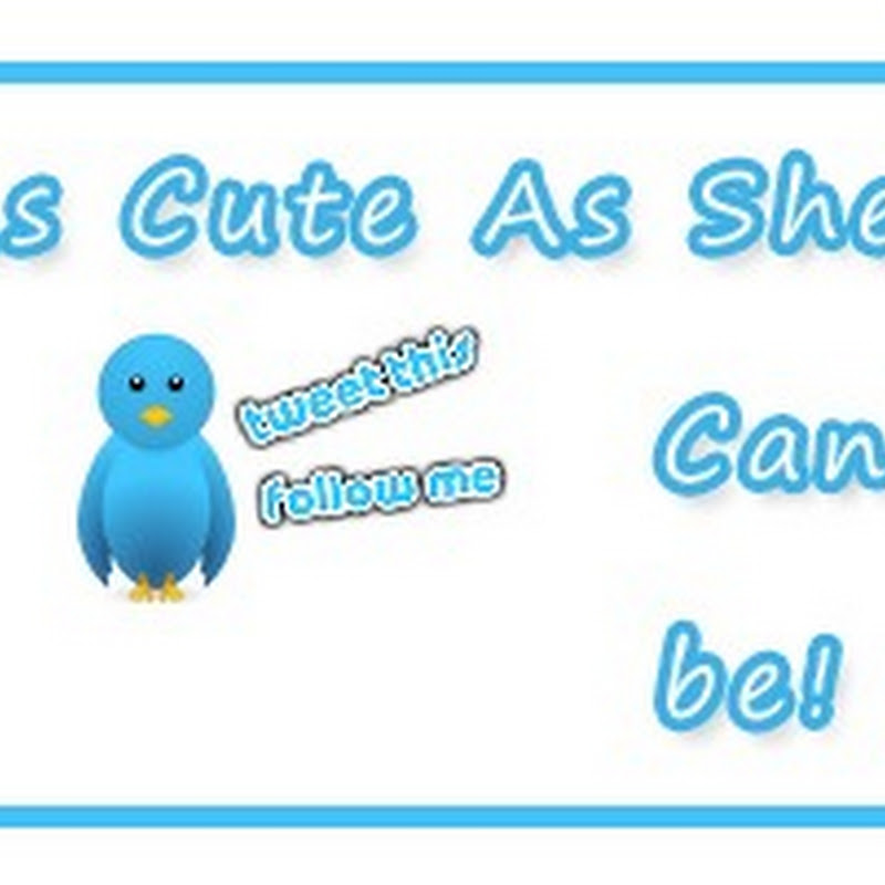 Add a Cute Flying Twitter Bird To Your Blogs