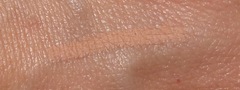 DSC02288