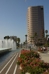 902-0299_IMG.JPG
