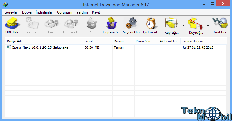 Internet Manager 5.19 Build 1 Patch _ Reg File.Zip
