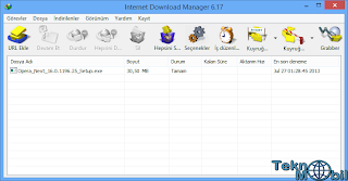 Internet Download Manager Full v6.17 b6 Türkçe