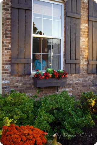 fall window boxes fall window boxes