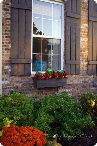 fall window boxes