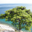 Kreta-10-2010-104.JPG