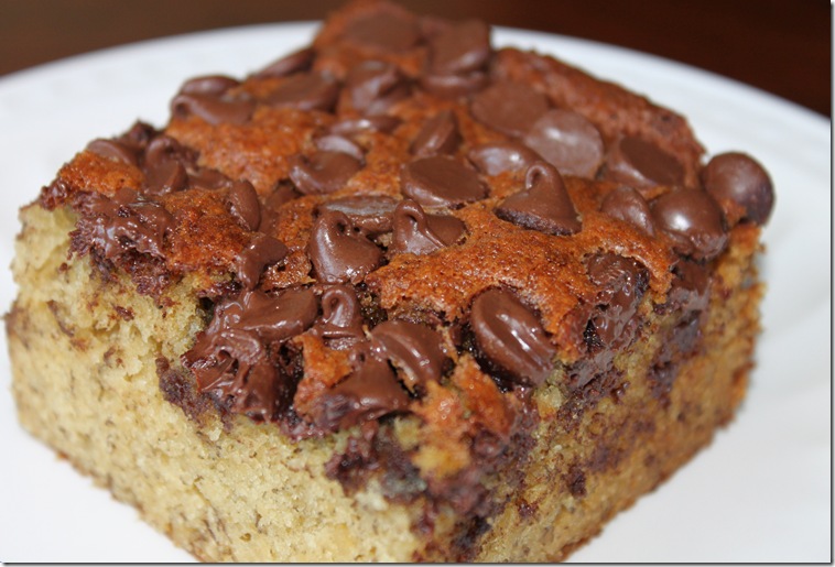 Banna Chocolate Chip Snack Cake 037