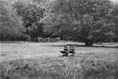 Hartsholme-Memorial-Bench-2