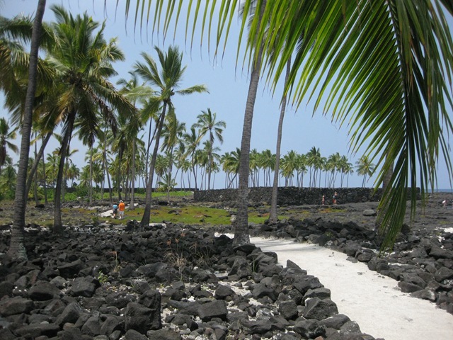 [lanai%25202011%2520154%255B2%255D.jpg]