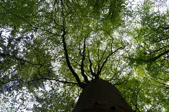 DSC_1270 DSC_1270