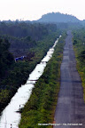 Moton Panjang Mempawah West Borneo Indonesia