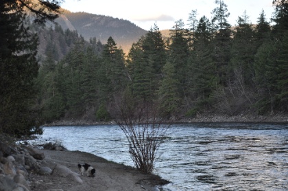 DSC_0072.jpg DSC 0072