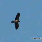 DSC_9895.JPG