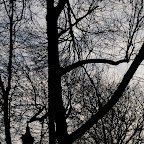 DSC_4872.JPG