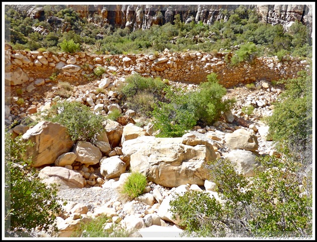 EFP-P1010324 EFP-P1010324