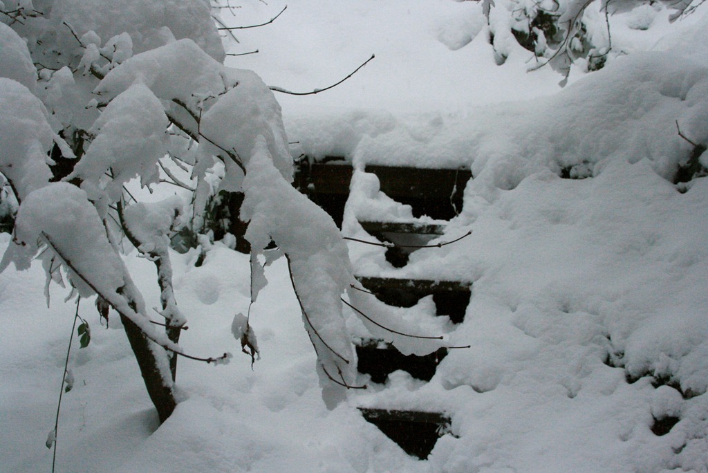 [snowdays9%255B4%255D.jpg]